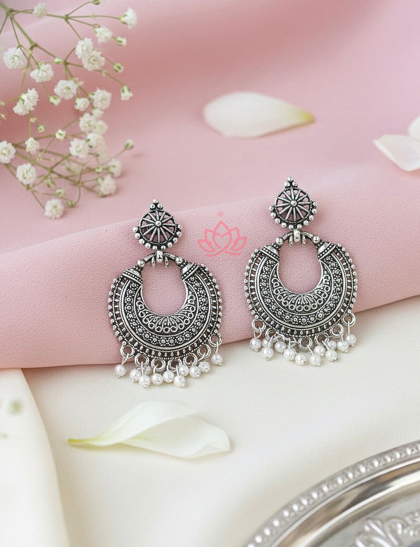 Set Of 12 Oxidized Designer Stud Earrings With Folding Jewelry Box