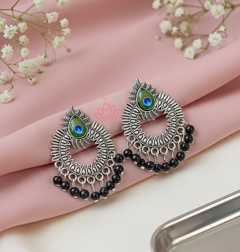 Set Of 12 Oxidized Designer Stud Earrings With Folding Jewelry Box